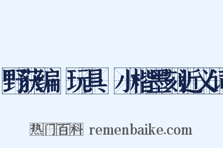 野获编·玩具·小楷墨刻近义词是什么意思的图片